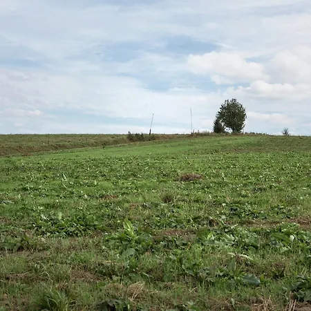 Atmospheric In Durbuy With Sauna *