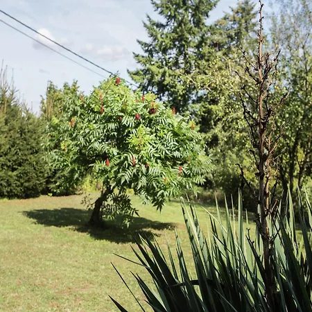 Atmospheric In Durbuy With Sauna * Septon