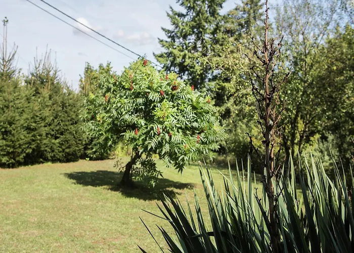 Atmospheric In Durbuy With Sauna * Septon